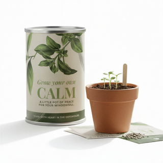 Jasper's Grow your own calm kit